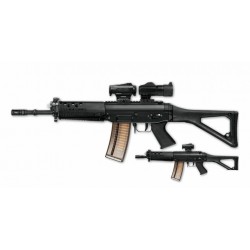 Sig 553 cal 223 rem avec dioptre