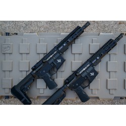 Carabine Triarc System 8,3” Tsr-15s En 300 Blk