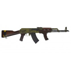 Carabine PSAK-47 GF3-R Romanian Kit Build with...