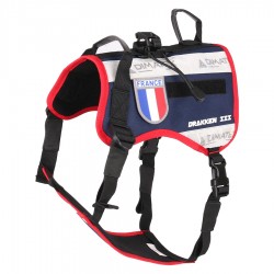 DIMATEX Harnais Drakken 3 Bleu Nuit