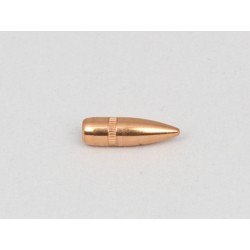 Ogives Cam Pro 223 55gr FMJ BT - lot de 500