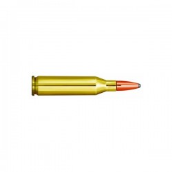 Cartouches PARTIZAN CAL. .243 Win 90-GRS SP lot de 1000