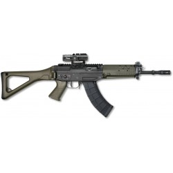 Sig 553 cal 223 rem sans dioptre