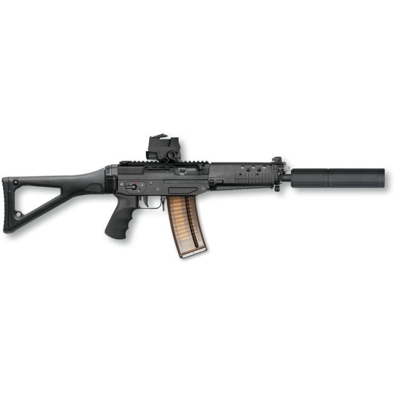Sig 553 cal 223 rem sans dioptre